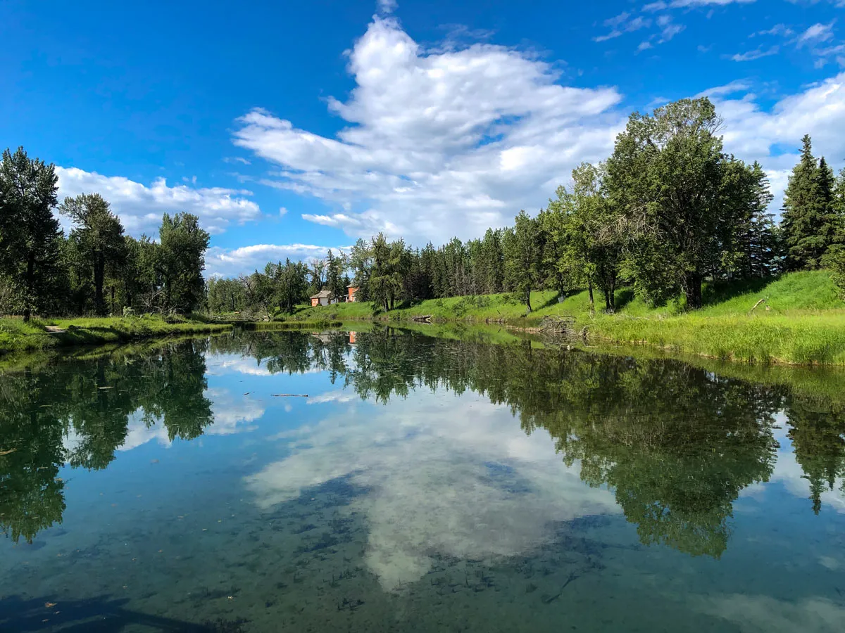 A calm river channel at the Inglewood Bird Sanctuary reflecting trees and a blue sky